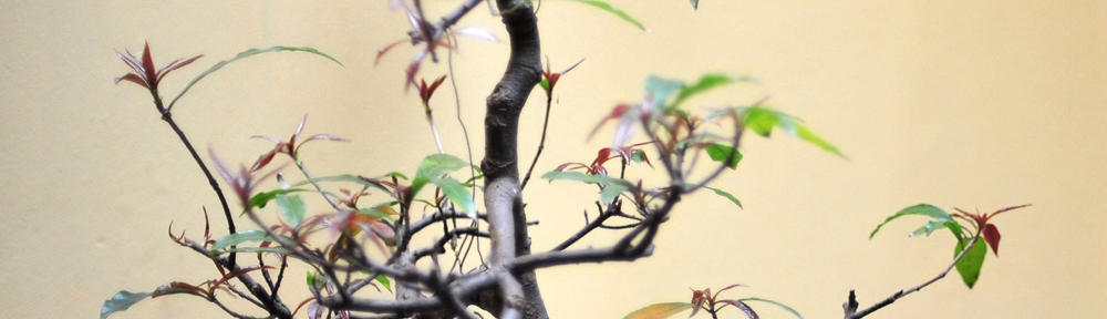 Museu Tecnológico da UTFPR